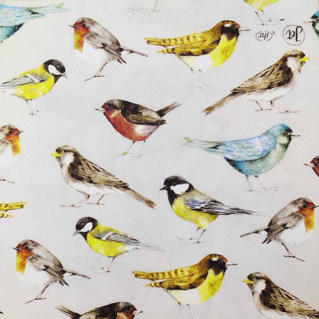 Birds ( German Napkins Tissues )