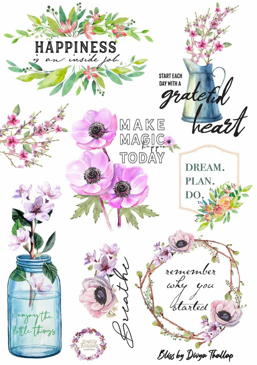 Bliss ( Instant Transfer Sheets )