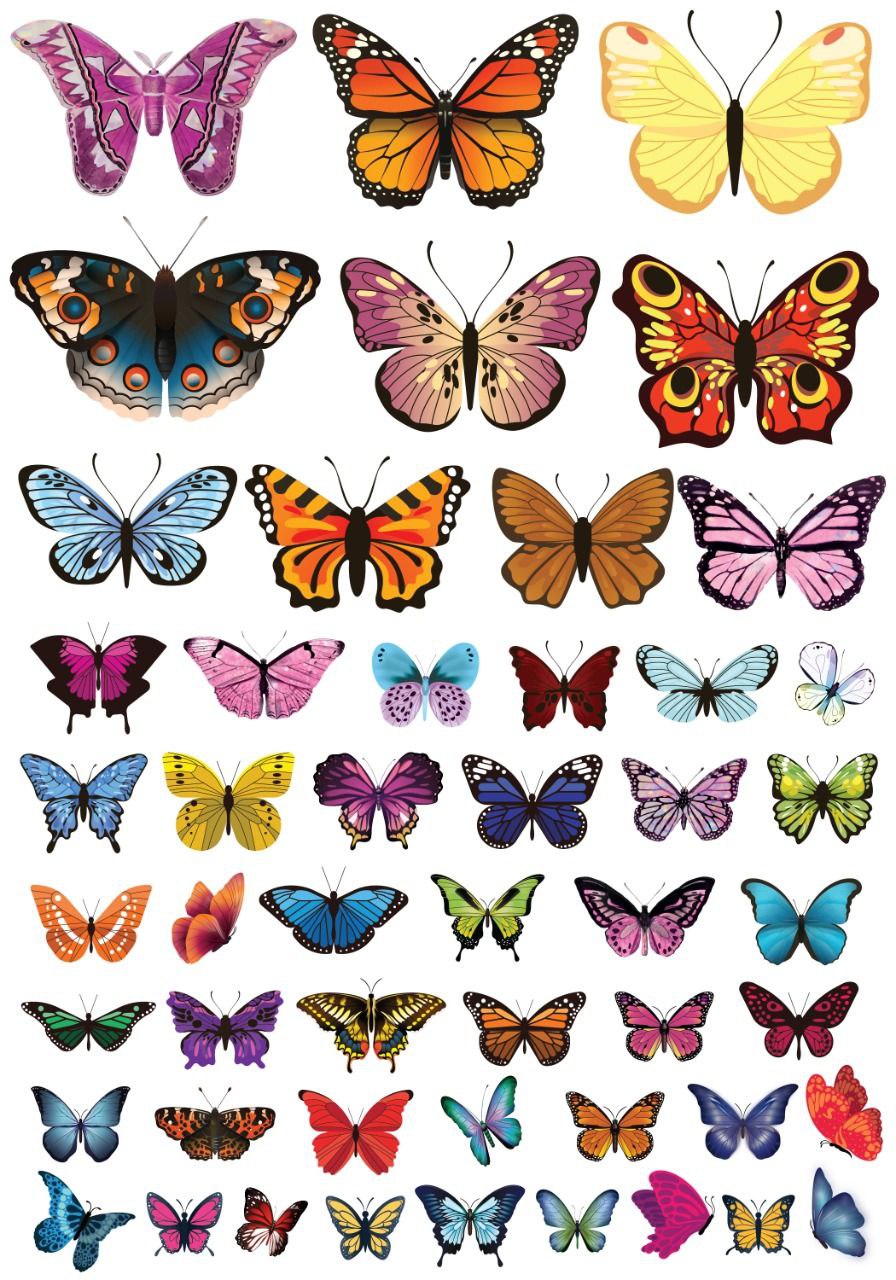 Butterfly Shapes ( Instant Transfer Sheets )