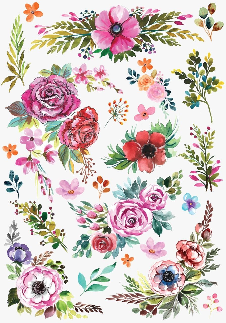 Flowers Paradise ( Instant Transfer Sheets )