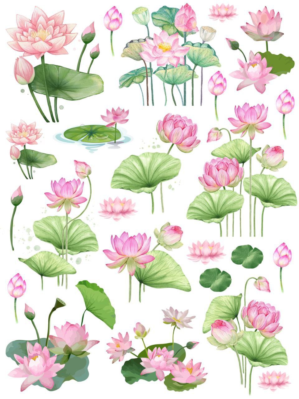 Lotus Wonder - Elements (Instant Transfer Sheet)