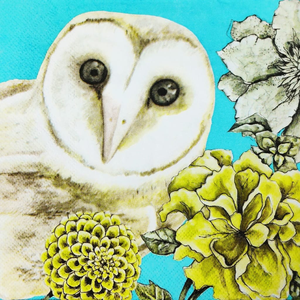 Owl Stare ( German Napkins Tissues )