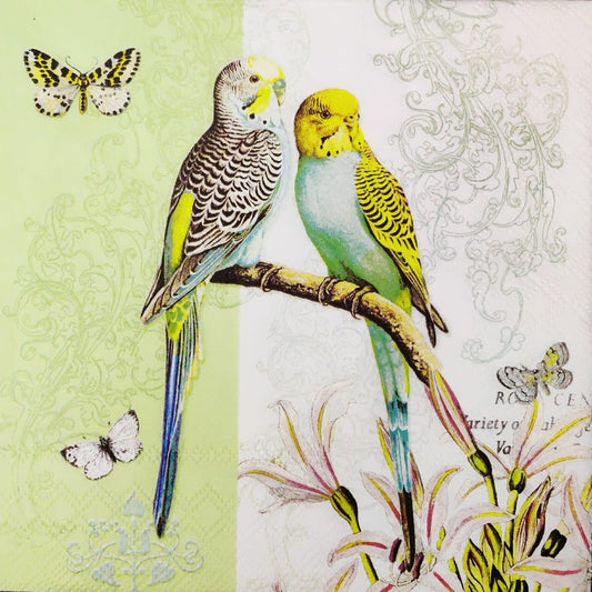 Parrots ( German Napkins Tissues )