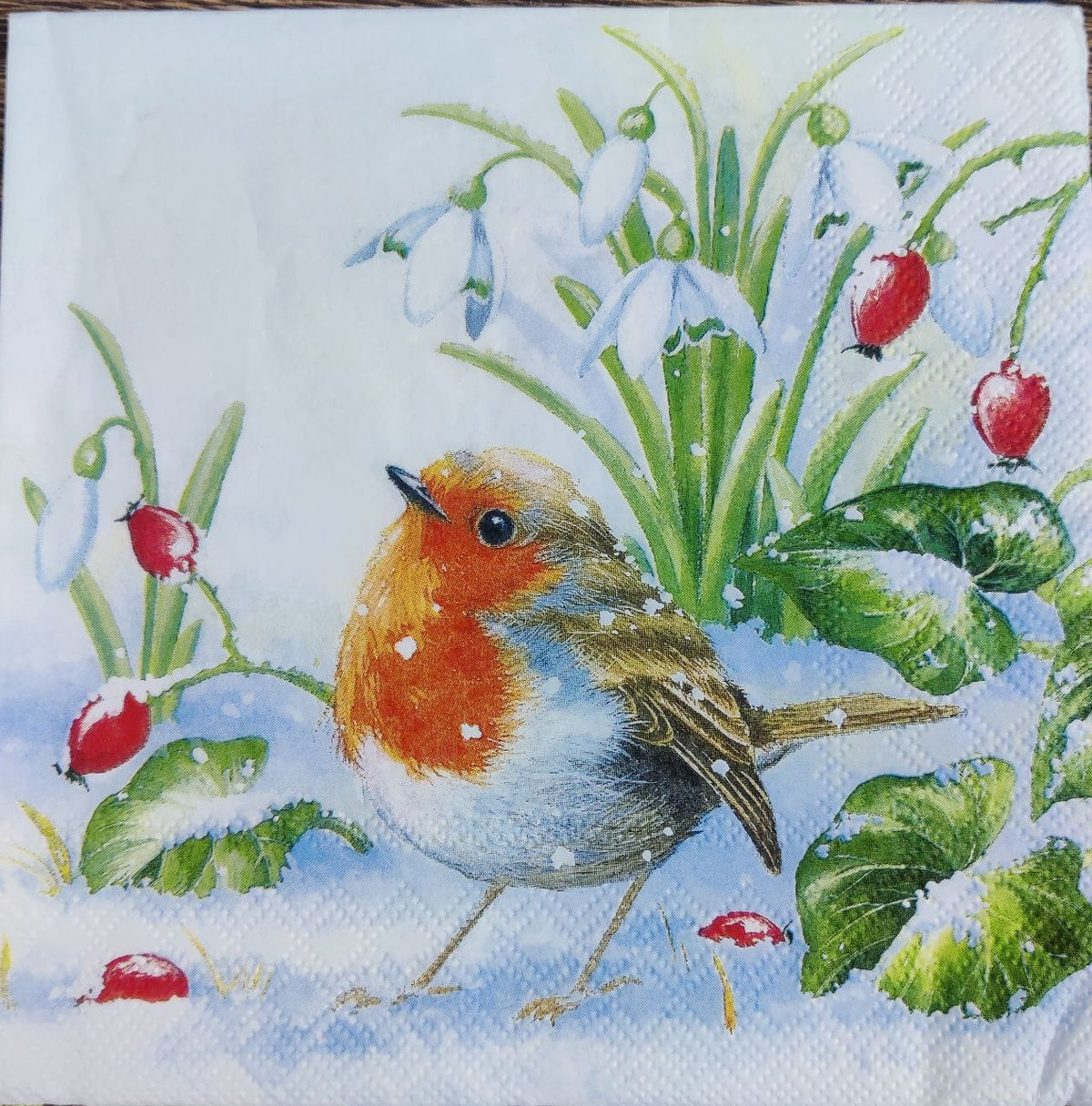 Snow n Bird ( Christmas - Tissues )