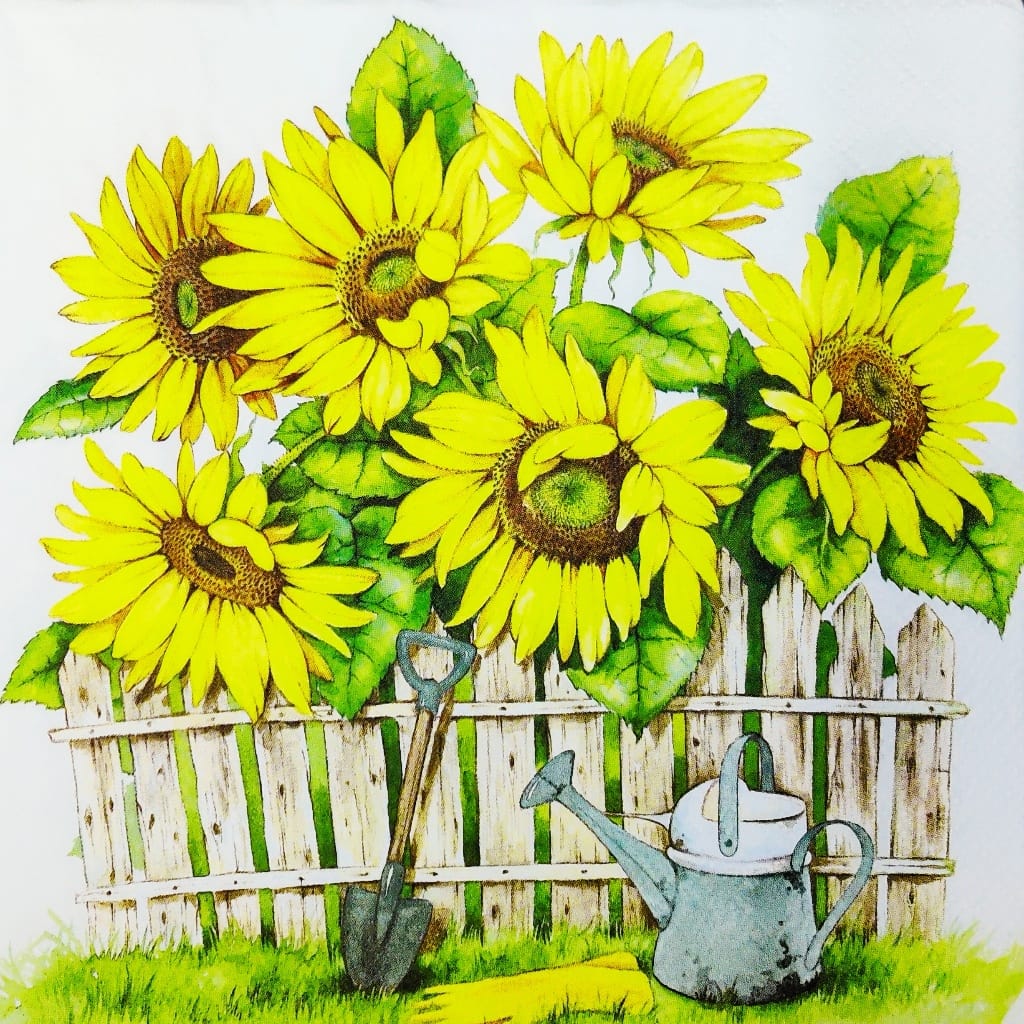 Sunflower Garden ( German Napkins Tissues )