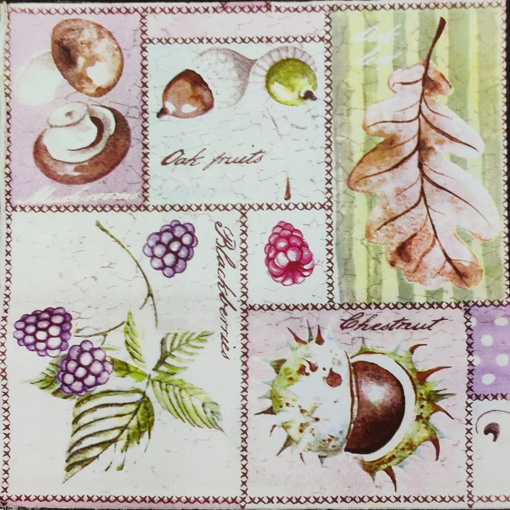 Fruit n Nuts ( German Napkins Tissues )