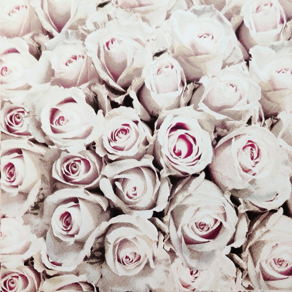 Baby Roses ( German Napkins Tissues )