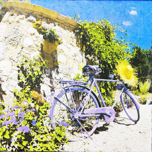 Cycle pic ( German Napkin Tissues )