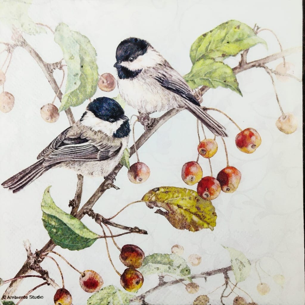 Birds n Cherries ( German Napkins Tissues )