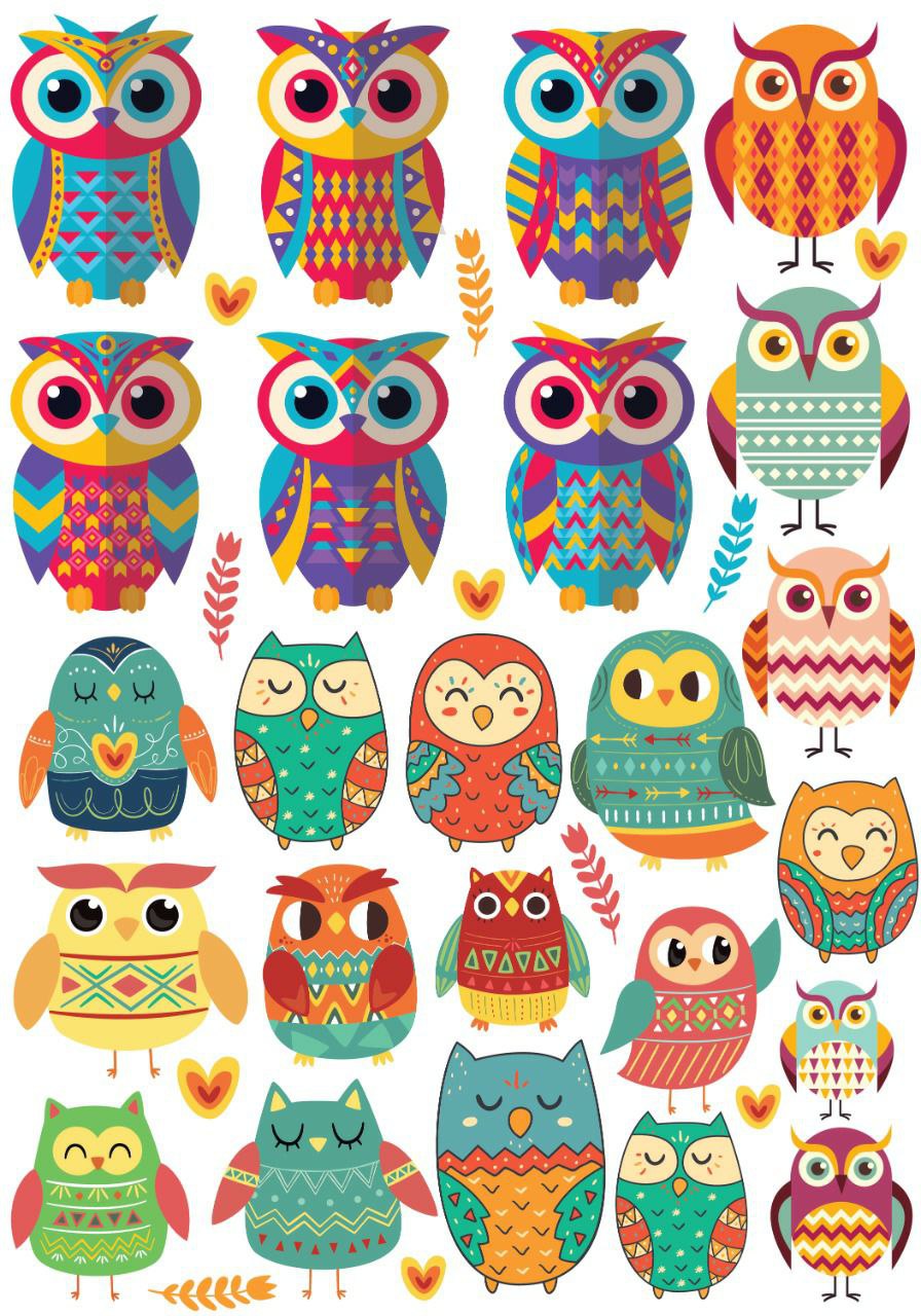 Wild n Free Birds ( Instant Transfer Sheets )