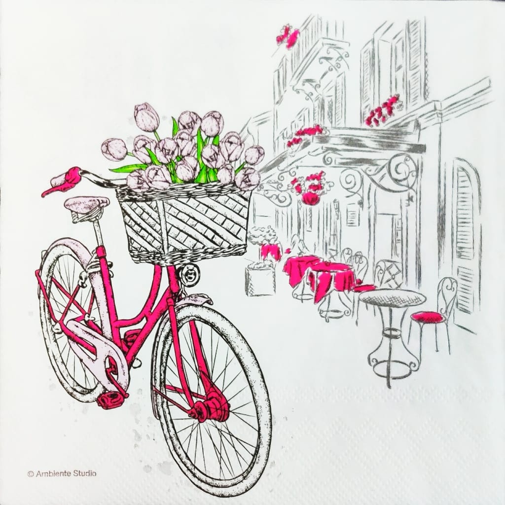 Cycle Flowers n Restaurant ( German Napkin Tissues )