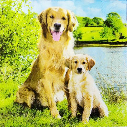 Dogs ( German Napkins Tissues )