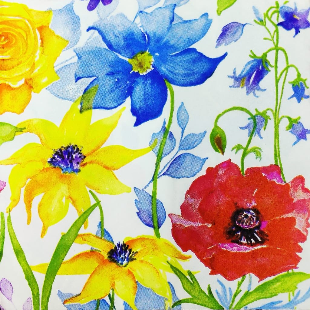 Through their Eyes ( German Napkins Tissues )
