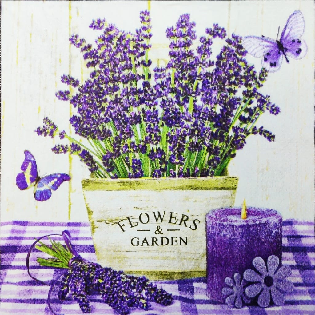 Purple Desire ( German Napkins Tissues )