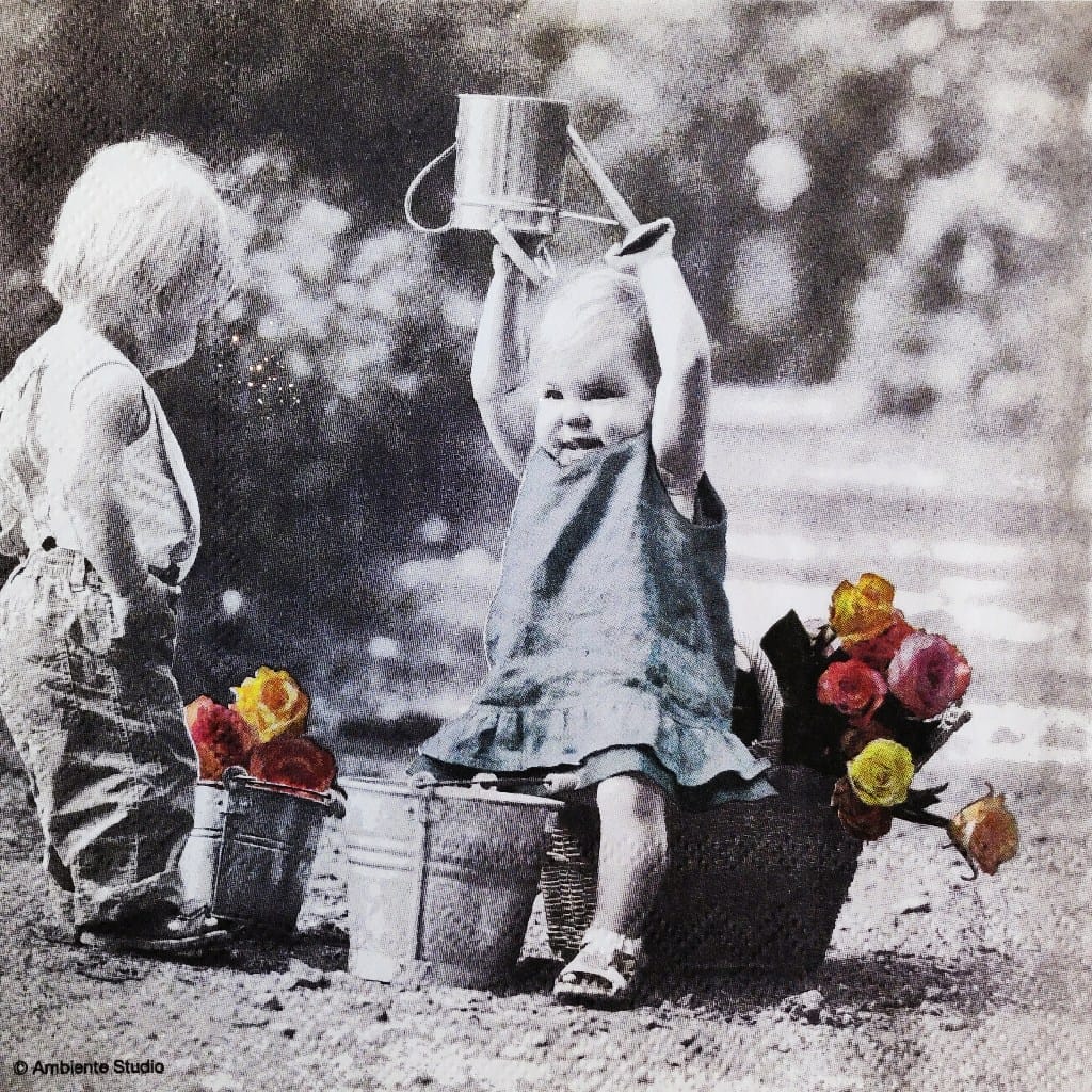 Kids n Flowers ( German Napkins Tissues )