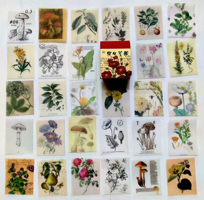 Into The Wild (Flora) ( Journaling Supplies - Vellum Sheets)