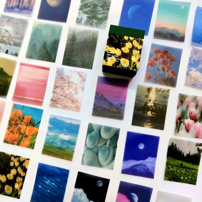 Light & Shadow  ( Journaling Supplies - Vellum Sheets)
