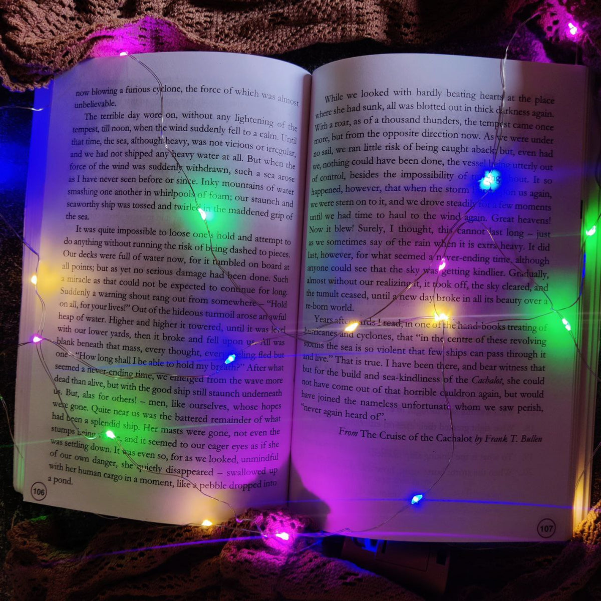 LED Cork Light | Fairy Light | LED String Light | Wine Bottle LED Light | Pack of 2