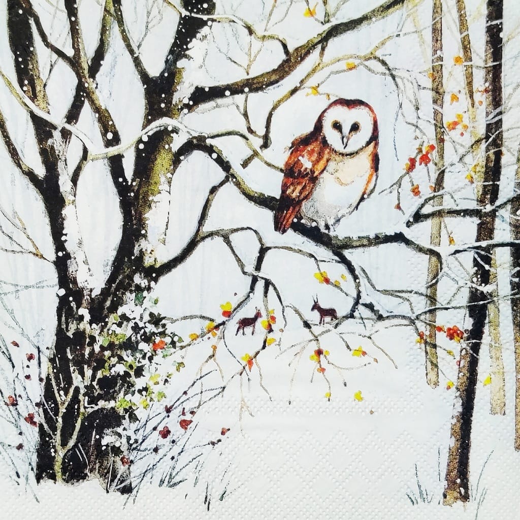Owl Woods ( German Napkins Tissues )