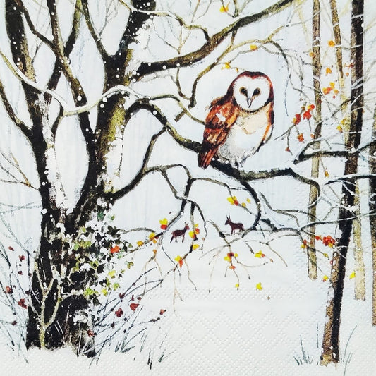 Owl Woods ( German Napkins Tissues )