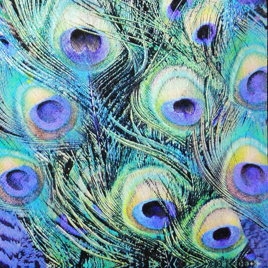 Peacock Feather ( German Napkins Tissues )