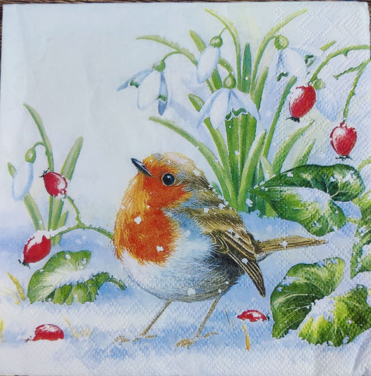 Snow n Bird ( Christmas - Tissues )