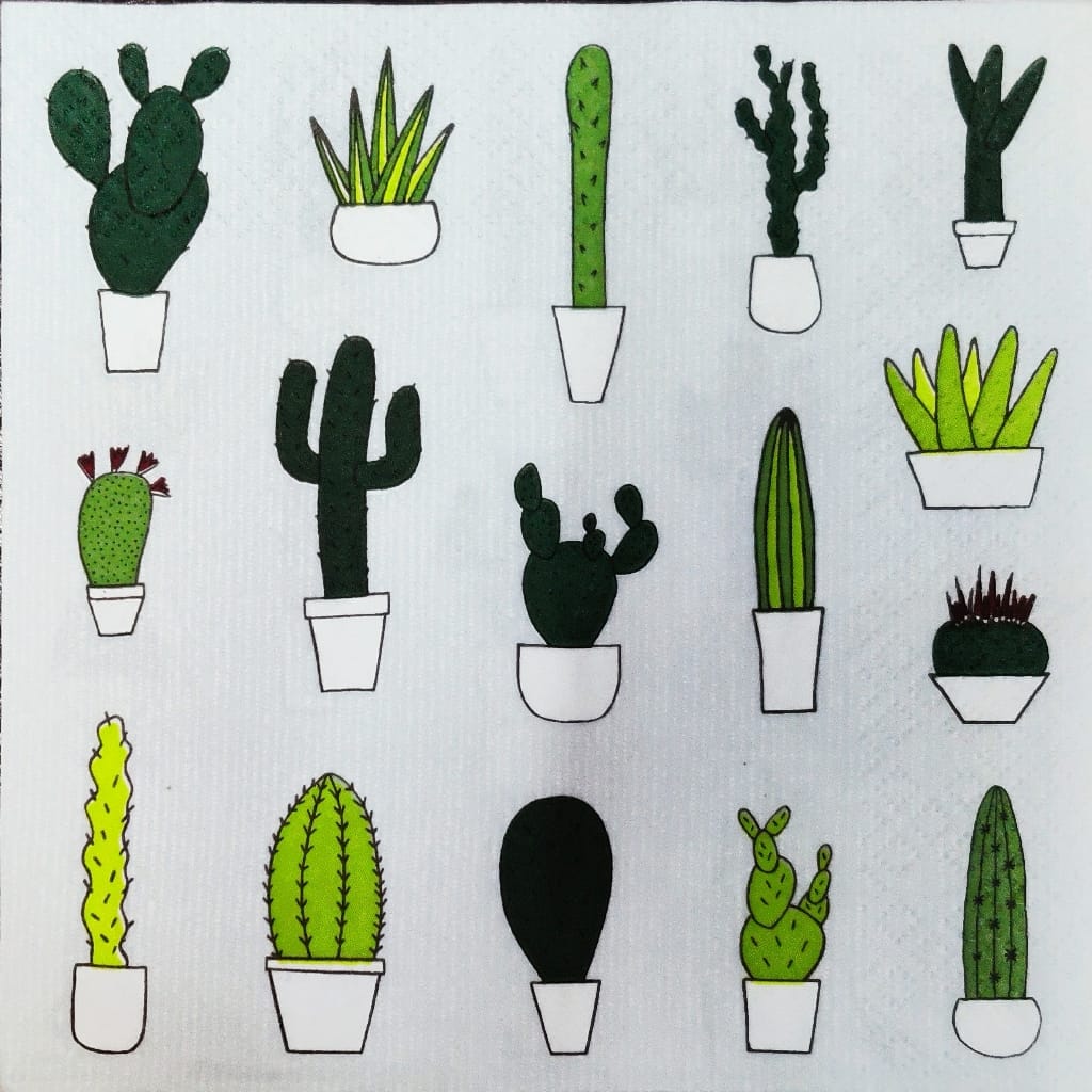 Succulents ( German Napkins Tissues )