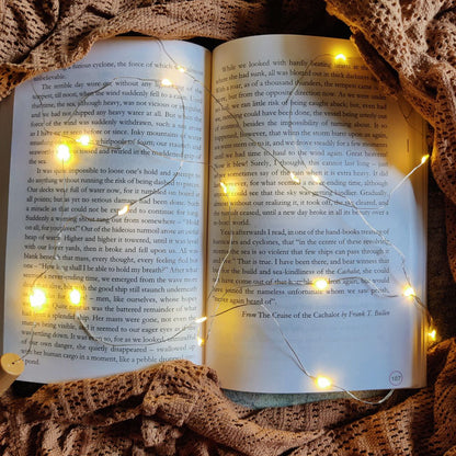LED Cork Light | Fairy Light | LED String Light | Wine Bottle LED Light | Pack of 2